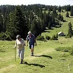 Bellevue Le Rocheray 3*