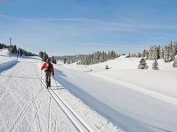 Hotel Bellevue Le Rocheray