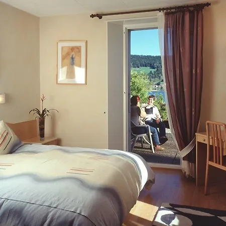 Bellevue Le Rocheray Hotel 3*
