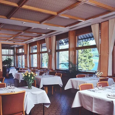 Bellevue Le Rocheray Hotel 3*