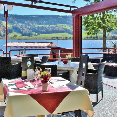 Bellevue Le Rocheray Hotel 3*