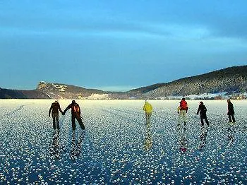 Bellevue Le Rocheray