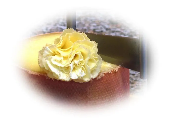 Bellevue Le Rocheray 3* Le Sentier