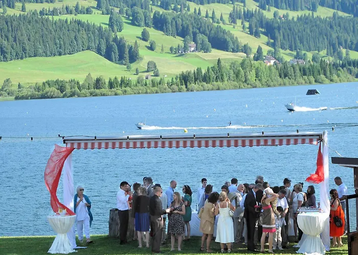 Bellevue Le Rocheray Hotel