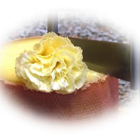 Bellevue Le Rocheray 3* 르센티어