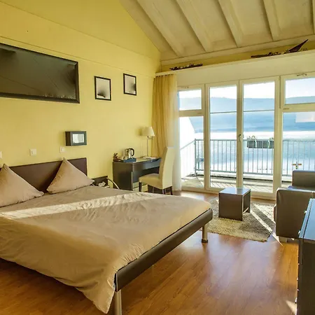 호텔 Bellevue Le Rocheray 르센티어